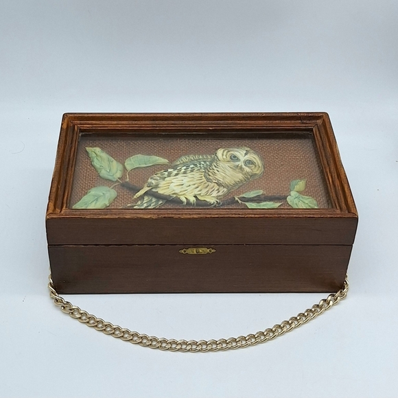 Vintage‎ Wood Box with Realistic Owl Behind Glass - Picture 1 of 7
